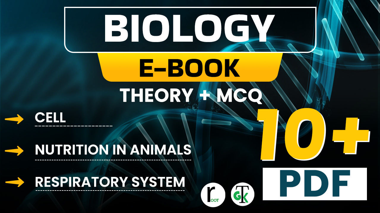 All In One Biology E - Book English..